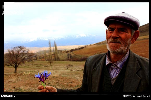 نوروزگلی