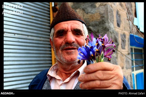 نوروزگلی